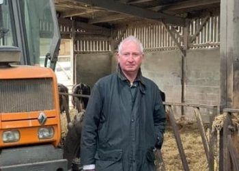 cumbria-to-host-uk’s-biggest-beef-industry-event 