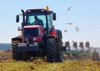 cumbrian-mp-introduces-bill-to-protect-tenant-farmers