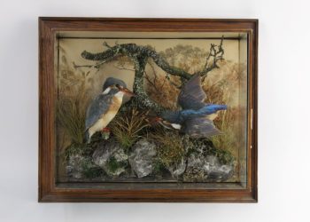 Hunting, shooting and fishing – lots on offer at Mitchells’ Country Sporting Sale