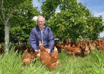 50,000-boost-for-cumbrian-egg-producer