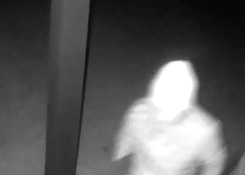 WATCH: CCTV released after cricket club burglary near Brampton
