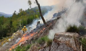 Ditch the barbecue and pack a picnic: Cumbrian firefighters urge people to help prevent wildfires
