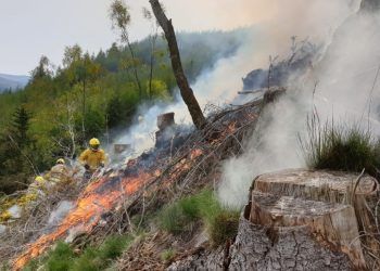 Ditch the barbecue and pack a picnic: Cumbrian firefighters urge people to help prevent wildfires