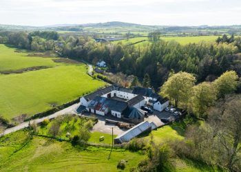 rural-property-market-buoyant-says-leading-firm