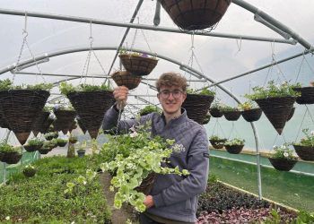 young-kendal-entrepreneur-cultivates-success