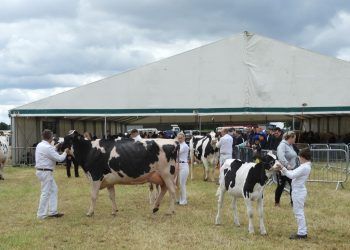 Crowds gather for 184th Cumberland Show