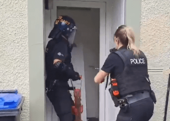 WATCH: Two arrests after drugs raid