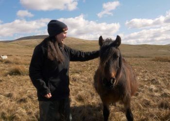 WATCH: Fell ponies on film scoops major award