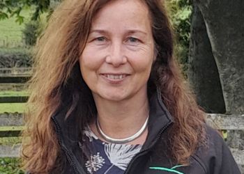 free-business-support-offered-to-farmers-in-cumbria