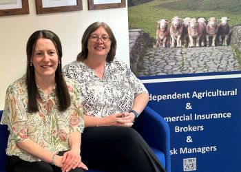 new-appointments-at-insurance-firm