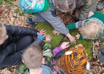 Join the National Trust in Wasdale for free family wellbeing in the woods events
