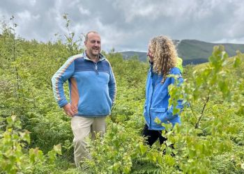 alertacall-plants-20,000-trees-in-the-lake-district-to-mark-20th-anniversary