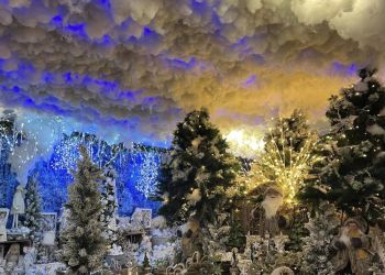 christmas-in-august?-meet-the-cumbrian-garden-centre-already-getting-festive