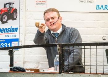 h&h-livestock-auctioneer-is-a-fine-fellow