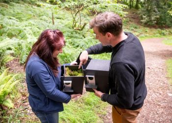 WATCH: Helping save Lake District’s red squirrels