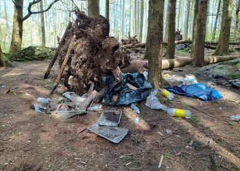 Illegal campers destroying Lake District beauty spots