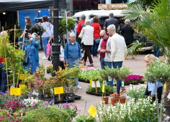 International market to return to Carlisle