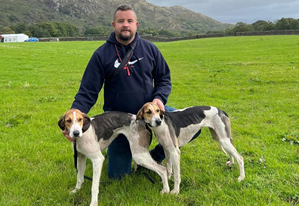 Hounds compete at Eskdale and Ennerdale Foxhound Puppy Show