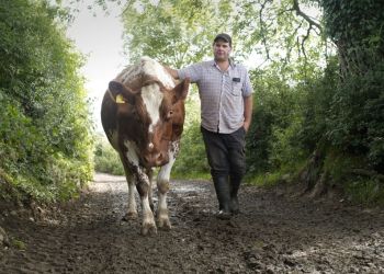 Exhibition explores life and work of Cumbrian farmer