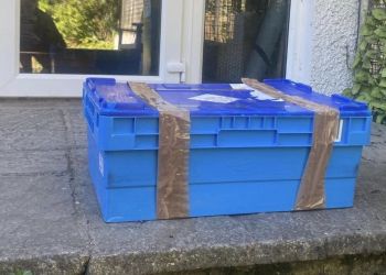 Cats dumped in taped-up box outside Cumbrian animal charity’s base