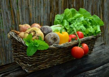 Veg box scheme launches in West Cumbria