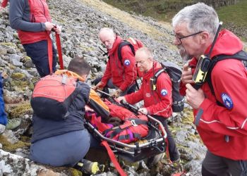 Dog rescued after having seizure on fell near Penrith