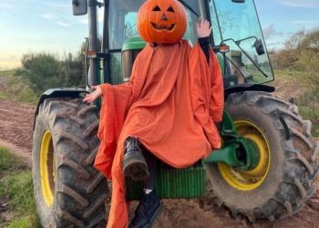 Popular pumpkin patch back and bigger than before in West Cumbria