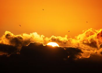 Say goodbye to stress and secure a brighter future for your business