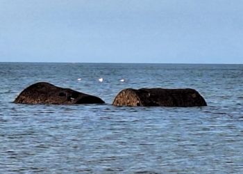 117-year-old ship boilers wash up on West Cumbrian coast