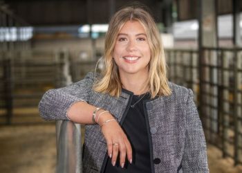 director-of-strategy-appointed-at-harrison-&-hetherington