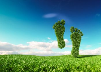 helping-firms-reduce-their-carbon-footprint