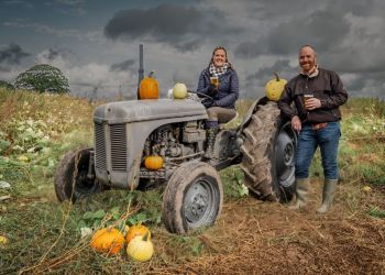 Go pumpkin picking after dark at Walby Farm Park