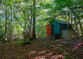 Lake District woodland paradise on market for £80,000