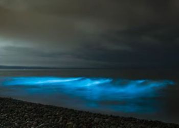 WATCH: Bioluminescent waves spotted on beaches across West Cumbria