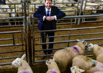 profits-fall-by-500,000-for-h&h-group