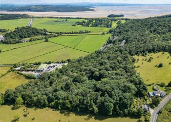 morecambe-bay-woodland-on-market-for-100,000