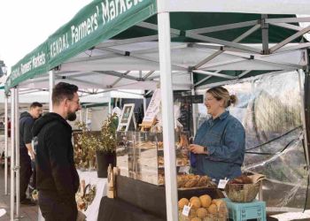 Forty Farms Fair returns to Rheged for Christmas