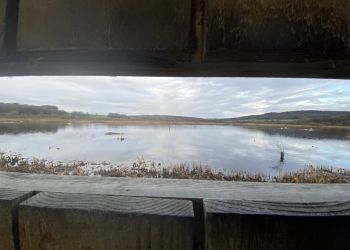 Cumbria’s RSPB reserves escape charity’s cuts