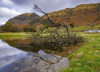 Significant restoration of Lake District stream