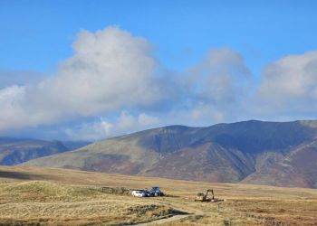 Peatland restoration programme brings bogs back to life