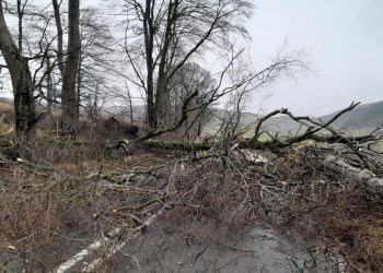 Storm Darragh: Latest updates on power cuts, flood alerts, roads and events