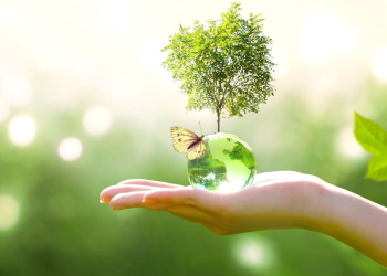 plans-for-circular-economy-hub-in-cumbria