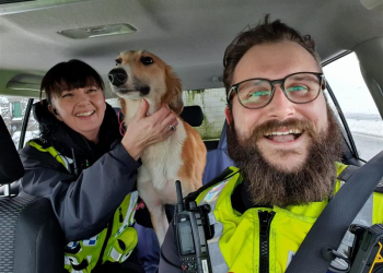Poachers disobey A66 road closure and abandon dog