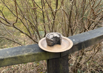 Eyes on the pies: Mystery as gold food items appear across Cumbria