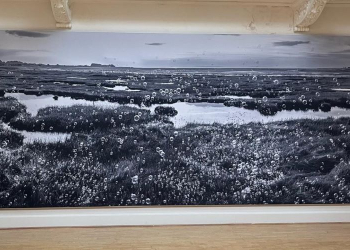 Exhibition to celebrate Barrow’s saltmarshes