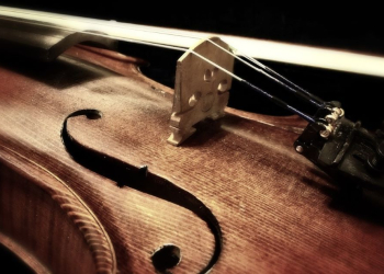 West Lakeland Orchestra to perform spring concert