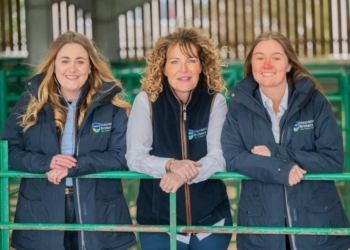 Insurance brokers opens new office in Cumbrian mart