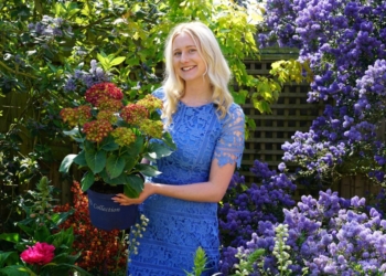 New owners of Lake District garden centre Hayes say it’s ‘exciting opportunity’ for firm