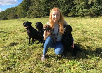 Cumbrian vet team to tackle Ullswater Way in memory of colleague