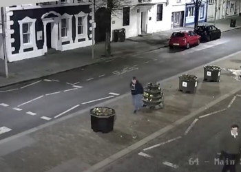 CCTV footage released after damage caused to Cockermouth planters